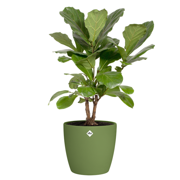 brussels rond roues 47cm moss green